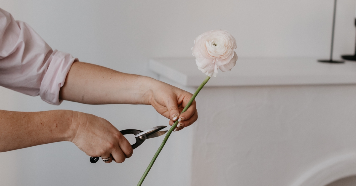 MEMBER ONLY BONUS: Conditioning and processing your flowers